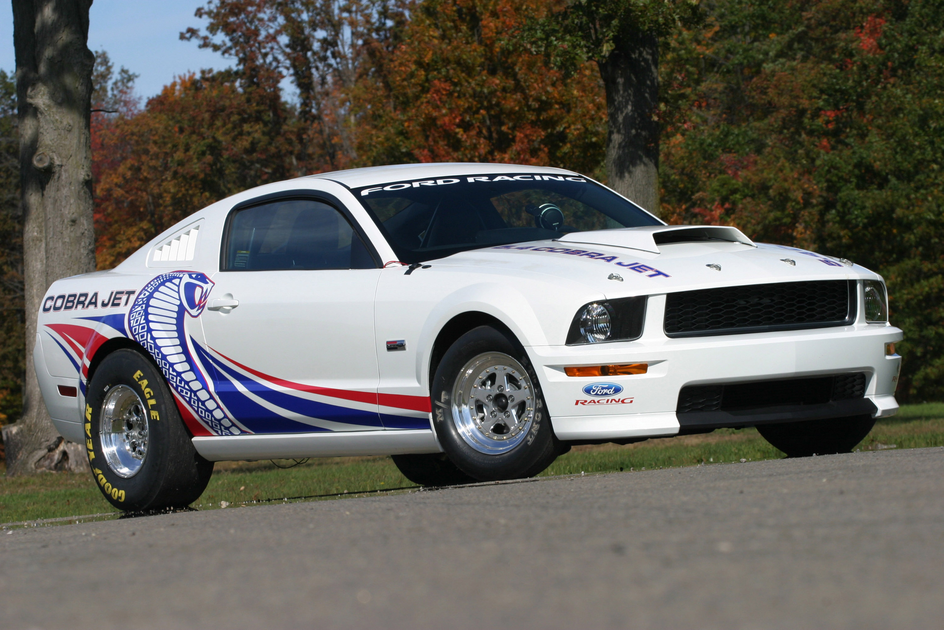 Cobra Jet Ford Mustang