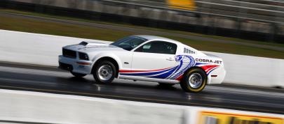 Cobra Jet Ford Mustang (2008) - picture 4 of 7