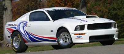 Cobra Jet Ford Mustang (2008) - picture 7 of 7