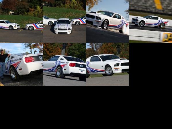 Cobra Jet Ford Mustang (2008) - picture 1 of 7
