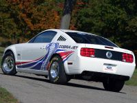 Cobra Jet Ford Mustang (2008)
