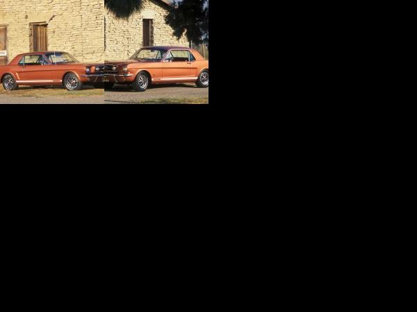 Ford Mustang GT 1966 (1966) - picture 1 of 2