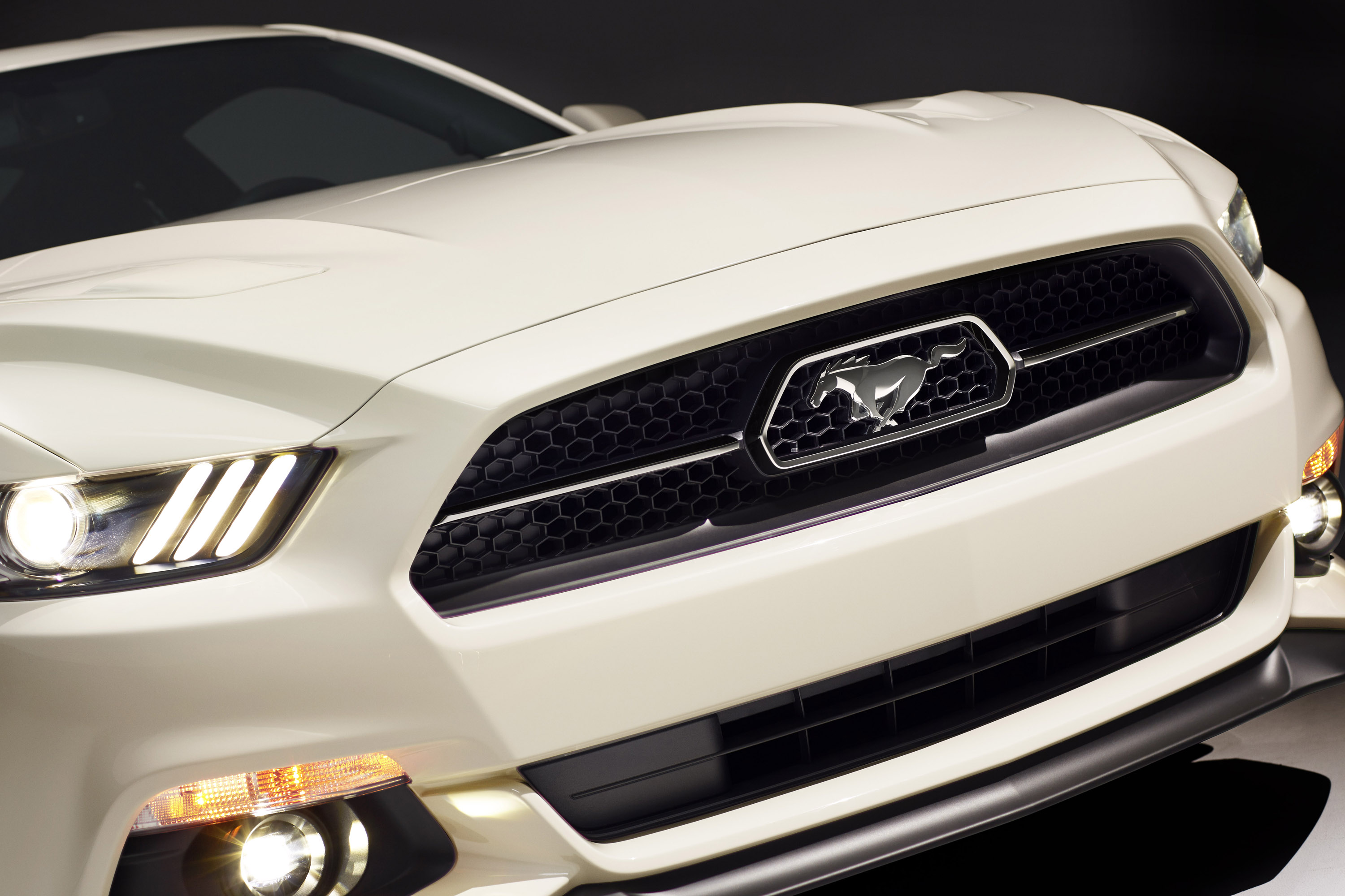 Ford Mustang GT 50 Year Limited Edition