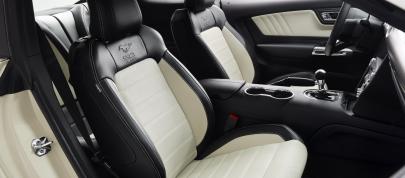 Ford Mustang GT 50 Year Limited Edition (2014) - picture 12 of 25