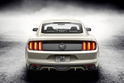 Ford Mustang GT 50 Year Limited Edition (2014) - picture 8 of 25