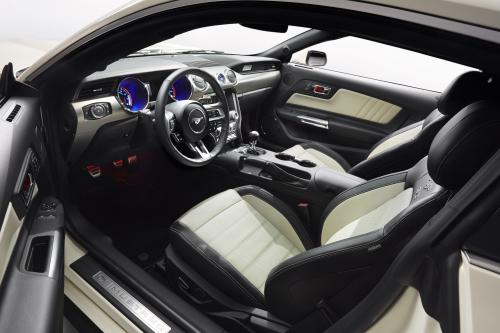 Ford Mustang GT 50 Year Limited Edition (2014) - picture 9 of 25