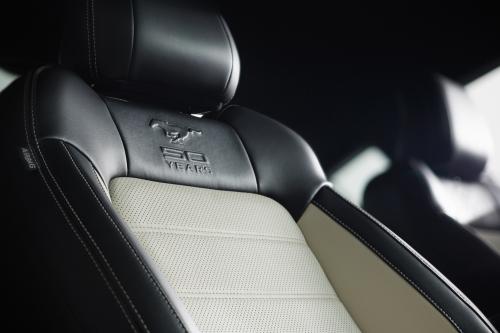 Ford Mustang GT 50 Year Limited Edition (2014) - picture 16 of 25