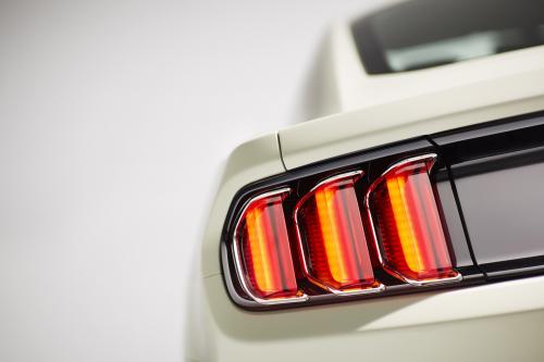 Ford Mustang GT 50 Year Limited Edition (2014) - picture 25 of 25