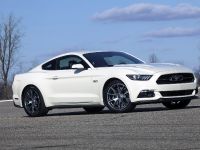 Ford Mustang GT 50 Year Limited Edition (2014) - picture 5 of 25