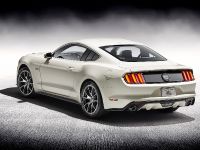 Ford Mustang GT 50 Year Limited Edition (2014) - picture 6 of 25