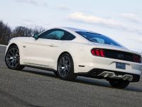 Ford Mustang GT 50 Year Limited Edition (2014) - picture 7 of 25