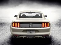 Ford Mustang GT 50 Year Limited Edition (2014) - picture 8 of 25
