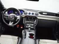 Ford Mustang GT 50 Year Limited Edition (2014)