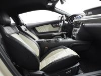 Ford Mustang GT 50 Year Limited Edition (2014) - picture 11 of 25