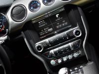 Ford Mustang GT 50 Year Limited Edition (2014)