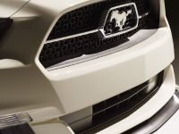 Ford Mustang GT 50 Year Limited Edition (2014) - picture 18 of 25