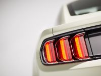 Ford Mustang GT 50 Year Limited Edition (2014)