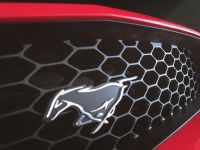 Ford Mustang GT Convertible Concept (2003) - picture 18 of 34