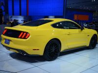 Ford Mustang GT Detroit (2014) - picture 6 of 8