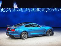 Ford Mustang GT350 R Detroit (2015)