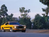 Ford Mustang Mach 1 (1970) - picture 2 of 3