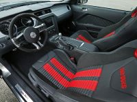 Ford Mustang Red Tails GT Edition (2013) - picture 10 of 18