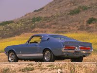 Ford Mustang Shelby GT500 (1967) - picture 2 of 2