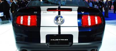 Ford Mustang Shelby GT500 Coupe Detroit (2009) - picture 15 of 15