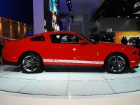 Ford Mustang Shelby GT500 Coupe Detroit (2009) - picture 3 of 15