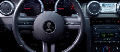 Ford Mustang Shelby GT500KR (2008) - picture 12 of 18