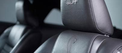 Ford Mustang Shelby GT500KR (2008) - picture 15 of 18