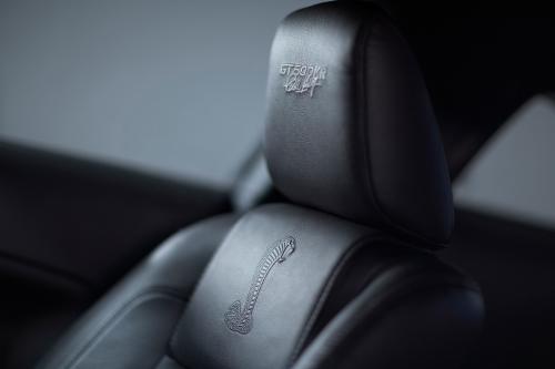 Ford Mustang Shelby GT500KR (2008) - picture 16 of 18