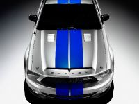 Ford Mustang Shelby GT500KR (2008) - picture 5 of 18