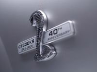 Ford Mustang Shelby GT500KR (2008)