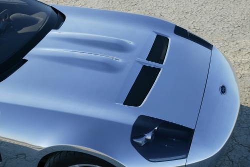 Ford Shelby GR-1 Concept (2005) - picture 17 of 32