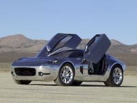 Ford Shelby GR-1 Concept (2005) - picture 6 of 32