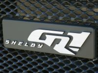 Ford Shelby GR-1 Concept (2005) - picture 22 of 32