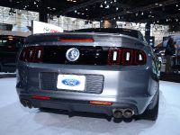 Ford Shelby GT 500 Chicago (2014)