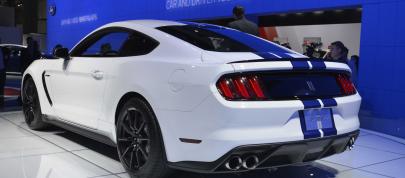 Ford Shelby GT350 Mustang Los Angeles (2014) - picture 7 of 7