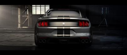 Ford Shelby GT350 Mustang (2015) - picture 4 of 6