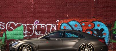 Fostla Mercedes-Benz CLS 350 CDI W218 (2014) - picture 7 of 18