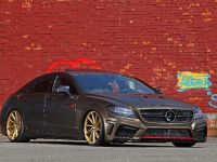 Fostla Mercedes-Benz CLS 350 CDI W218 (2014) - picture 4 of 18