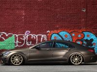 Fostla Mercedes-Benz CLS 350 CDI W218 (2014) - picture 7 of 18