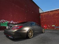 Fostla Mercedes-Benz CLS 350 CDI W218 (2014)