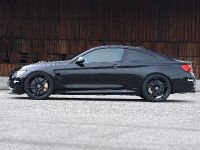 G-Power BMW M3 F82 Bi-Tronik (2014) - picture 6 of 11