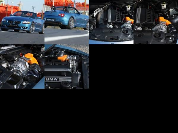 G-POWER BMW Z4 E85 SK Plus (2010) - picture 1 of 6