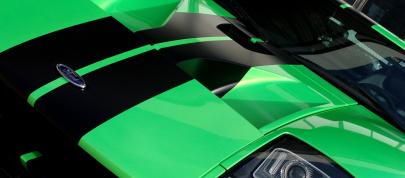 Geiger HP790 Ford GT (2009) - picture 7 of 8