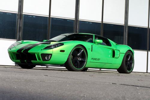 Geiger HP790 Ford GT (2009) - picture 1 of 8