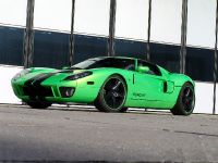 Geiger HP790 Ford GT