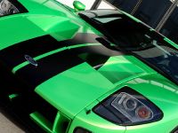 Geiger HP790 Ford GT (2009) - picture 5 of 8